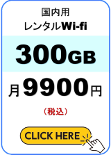 300GB �����C�O�Ŏg���郌���^��Wi-fi �����Ղ�M�KWi-fi �����^��Wi-fi ���ł����OK �Z���_��OK �f�[�^�l�b�g���[�N�T�[�r�X