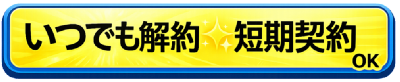 �����C�O�Ŏg���郌���^��Wi-fi �����Ղ�M�KWi-fi �����^��Wi-fi ���ł����OK �Z���_��OK �f�[�^�l�b�g���[�N�T�[�r�X