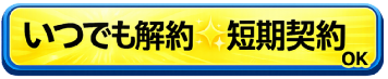 �����C�O�Ŏg���郌���^��Wi-fi �����Ղ�M�KWi-fi �����^��Wi-fi ���ł����OK �Z���_��OK �f�[�^�l�b�g���[�N�T�[�r�X